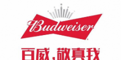 假冒 “百威”商標罐裝啤酒，廣西玉林興業(yè)縣法院審理首起侵犯知識產(chǎn)權罪案件