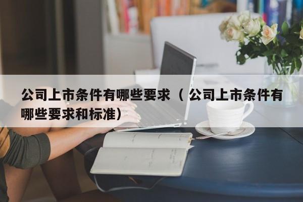 公司上市條件有哪些要求（ 公司上市條件有哪些要求和標(biāo)準(zhǔn)）