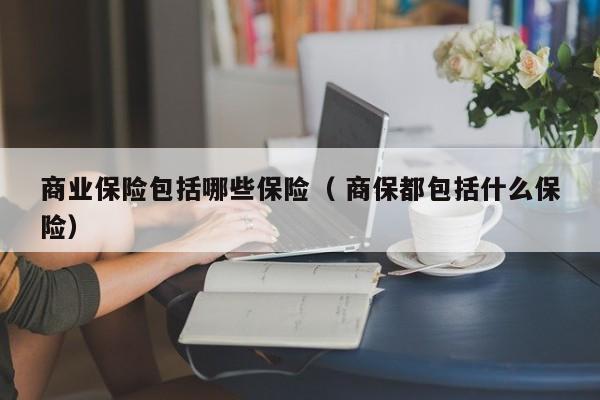 商業(yè)保險包括哪些保險（ 商保都包括什么保險）