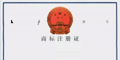 個(gè)人怎么申請(qǐng)商標(biāo)注冊(cè)（個(gè)人怎么申請(qǐng)商標(biāo)注冊(cè)需要多少錢）