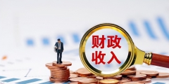 一般公共預(yù)算收入是什么意思