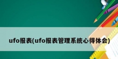 ufo報(bào)表(ufo報(bào)表管理系統(tǒng)心得體會)