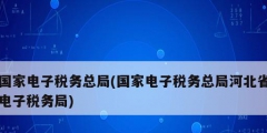 國家電子稅務總局(國家電子稅務總局河北省電子稅務局)