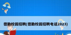 德勤校園招聘(德勤校園招聘電話2023)