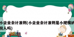 小企業(yè)會計準(zhǔn)則(小企業(yè)會計準(zhǔn)則是小規(guī)模納稅人嗎)